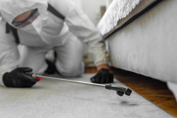 Professional Termite Control technician working in Wildwood, FL
