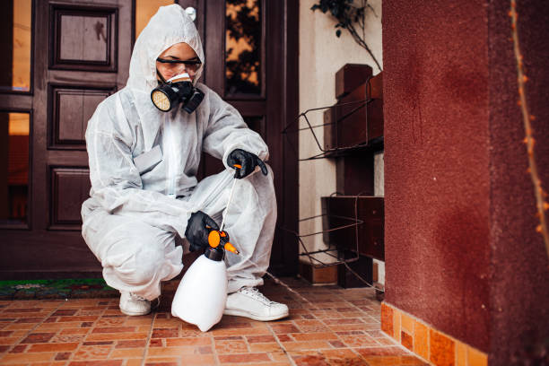 Reliable Termite Control contractor in Wildwood, FL by Nex Pest Control